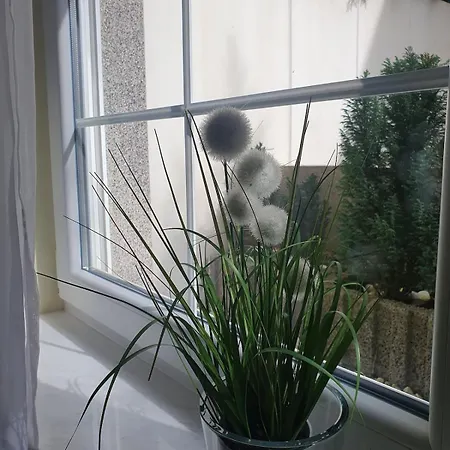 Lovely Souterrain Apartamento Solingen