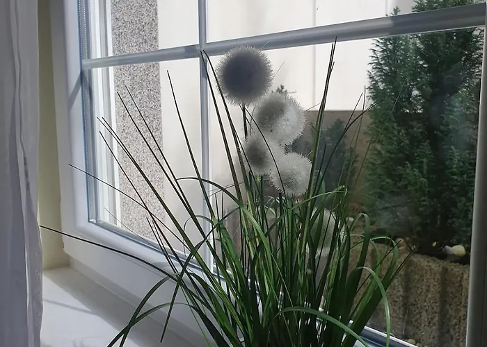 Lovely Souterrain Apartamento Solingen